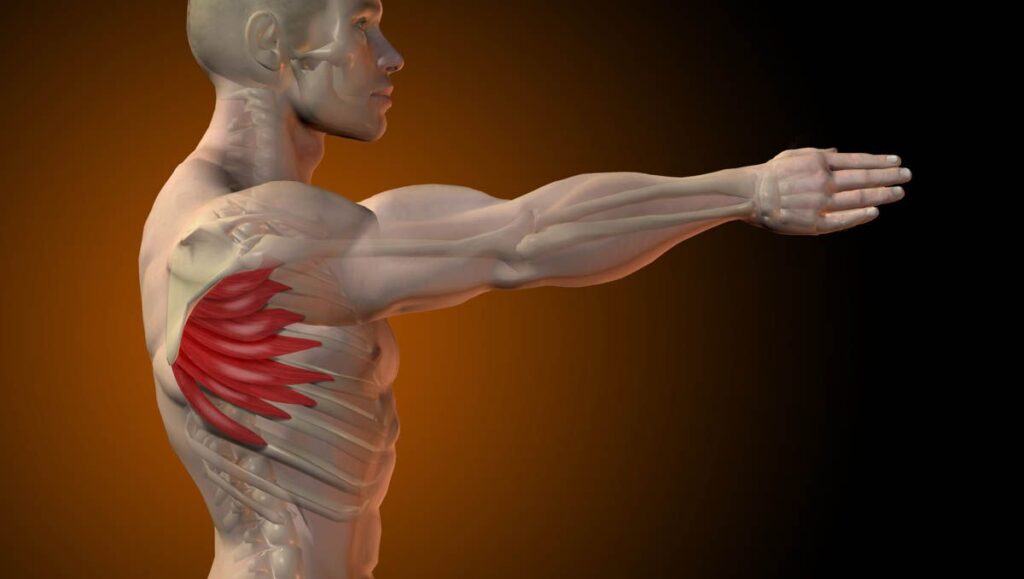Ejercicios para aliviar el dolor de espalda -Apertura escapular